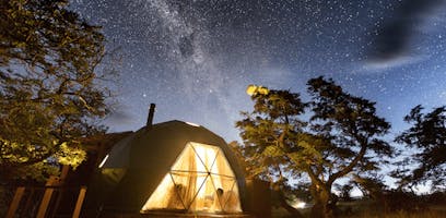 How to spend Earth Hour