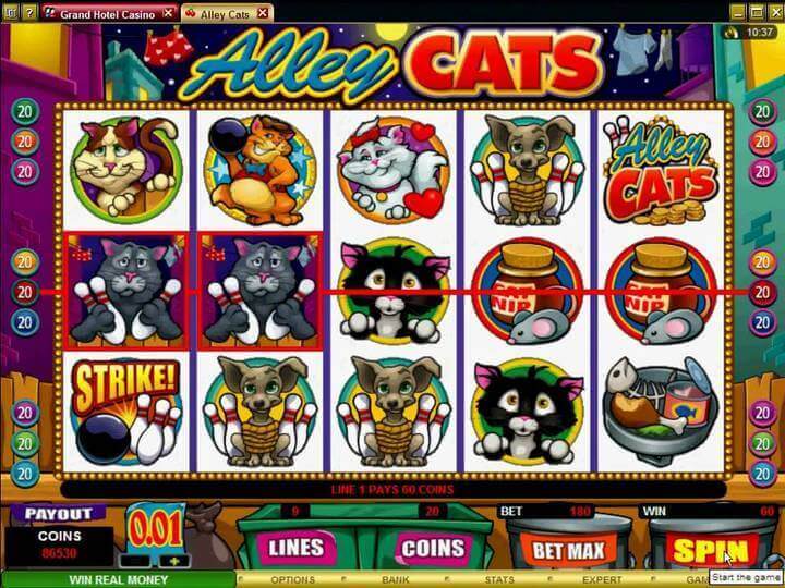 Alley Cats Base Game
