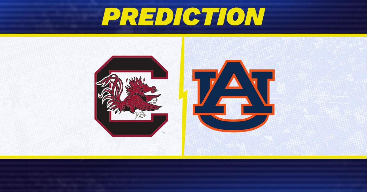 South Carolina vs. Auburn prediction: Why Auburn is favored to win men's college basketball matchup [1/17/2026]