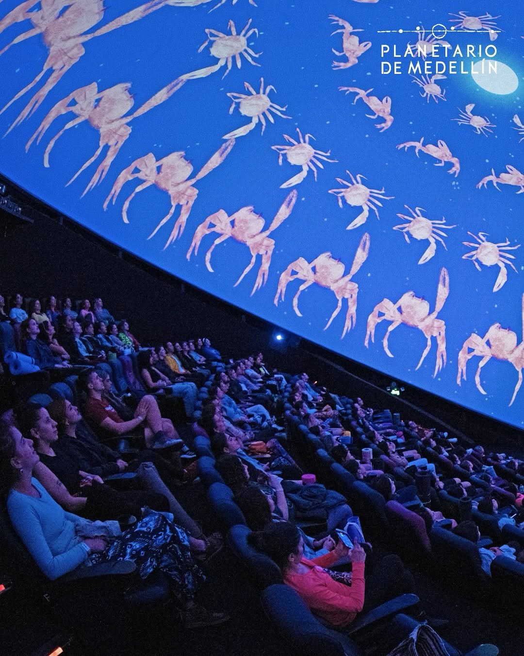 planetariomed_64f24bacd36e44178a82368835923876.jpg