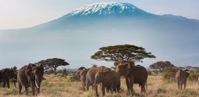 The different routes to Mount Kilimanjaro