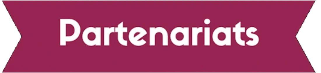 Image de la section partenariats web proposé par l'Alliée du Web