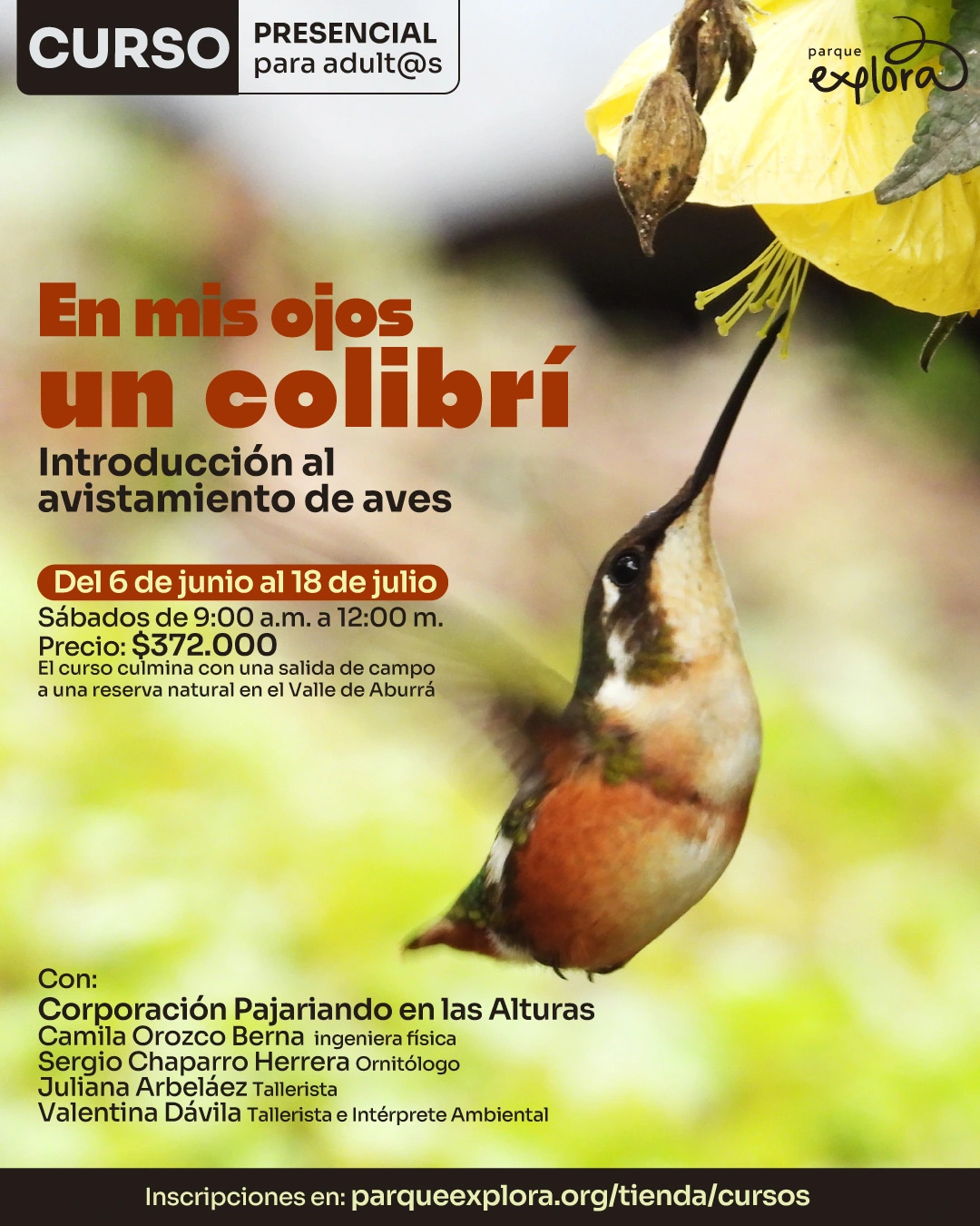 Fotografía. Sobre un fondo desenfocado en tonos claros y verdes, en la parte superior izquierda hay un recuadro con el texto: «Curso. Presencial para adultas y adultos». Debajo, hacia la izquierda, dice: «En mis ojos un colibrí». Más abajo dice: «Introducción al avistamiento de aves». En la parte media izquierda dice: «Del 6 de junio al 18 de julio». Debajo dice: «Sábados de 9:00 a. m. a 12:00 m. Precio: $372.000». Más abajo dice: «El curso culmina con una salida de campo a una reserva natural en el Valle de Aburrá». En la parte derecha aparece un colibrí suspendido frente a una flor amarilla. En la parte inferior izquierda dice: «Con: Corporación Pajarieando en las Alturas. Camila Orozco Berna, ingeniera física. Sergio Chaparro Herrera, ornitólogo. Juliana Arbeláez, tallerista. Valentina Dávila, tallerista e intérprete ambiental». En la franja inferior dice: «Inscripciones en: parqueexplora.org/tienda/cursos».