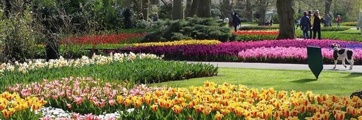 undefined's banner image