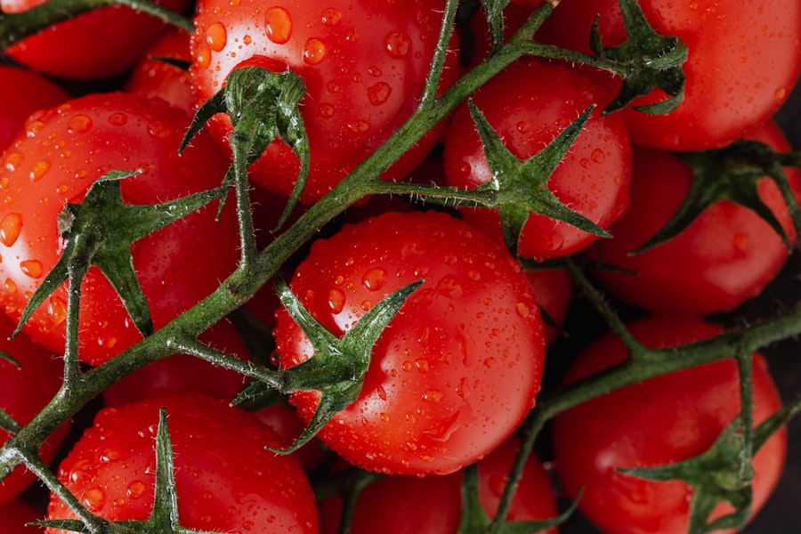 Tomatoes on the vine