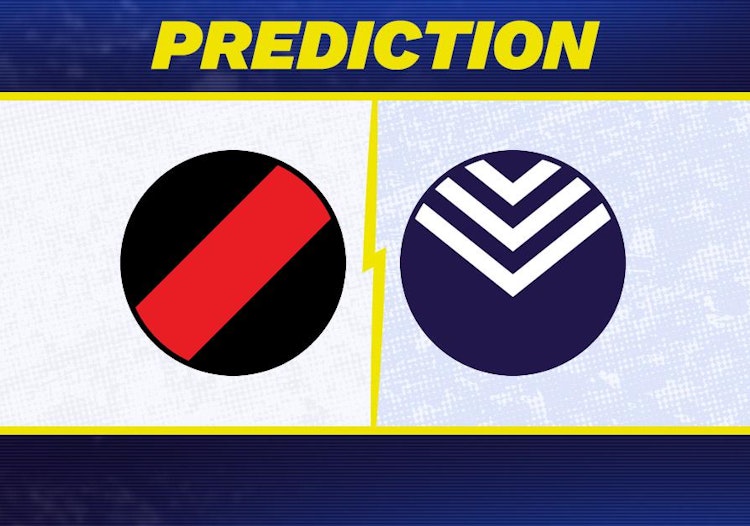 Essendon Bombers-Fremantle Dockers Predictions and Game Preview.