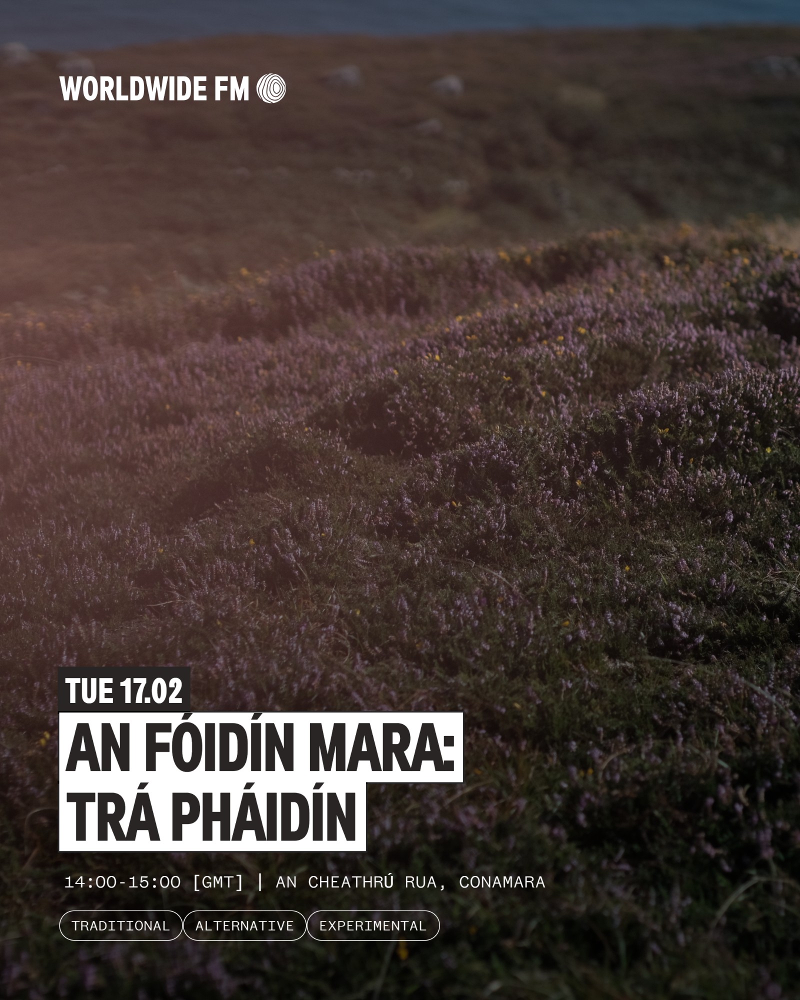 An fóidín mara: Trá Pháidín