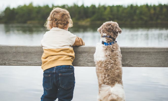 Toddler and poodle mix puppy leaning on banister and looking over a lake. 