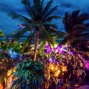 Neon haze and moonlit magic.