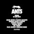 Ants Tulum 2025 @ Zamna Festival