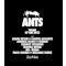 PAST EVENTS - Ants Tulum 2025 @ Zamna Festival