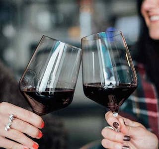 Enjoy a tasting of the iconic Malbec wine, Argentina's flagship variety's gallery image