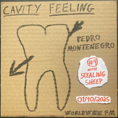 cavity feeling #4: pedro montenegro w/ Stealing Sheep