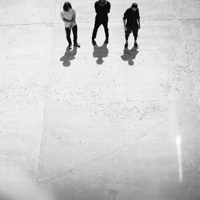 Gondwana Records: Mammal Hands