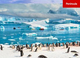 Antarctica:  Unveiling the Frozen Frontier's thumbnail image