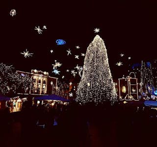 The Holidays in Ljubljana's gallery image