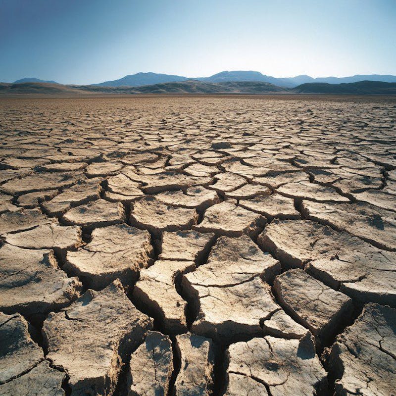 Africa Faces US$20 Billion El Niño Loss as NDRMA Warns Preparedness Is the Best Defence