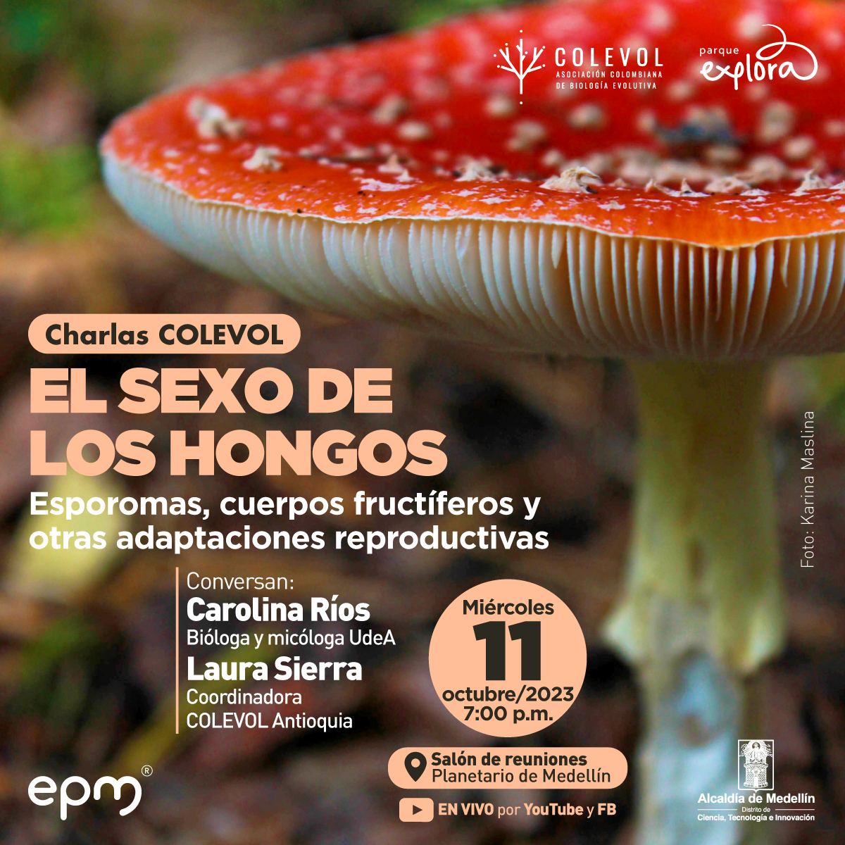 Foto. Un primer plano de un hongo, tiene la pate superior roja con varios puntos blancos y negros. Debajo tiene varias hileras contiguas de líneas blancas. En la parte izquierda de a imagen texto que dice: "Charlas COLEVOL. El sexo de los hongos. Esporomas, cuerpos fructíferos y otras adaptaciones reproductivas. Conversan: Carolina Ríos, bióloga y micóloga UdeA. Laura Sierra, coordinadora COLEVOL Antioquia. Miércoles 11 de octubre de 2023 a las 7 de la noche. Salón de reuniones Planetario de Medellín. En vivo por YouTube y Facebook. Foto: Karina Maslina".