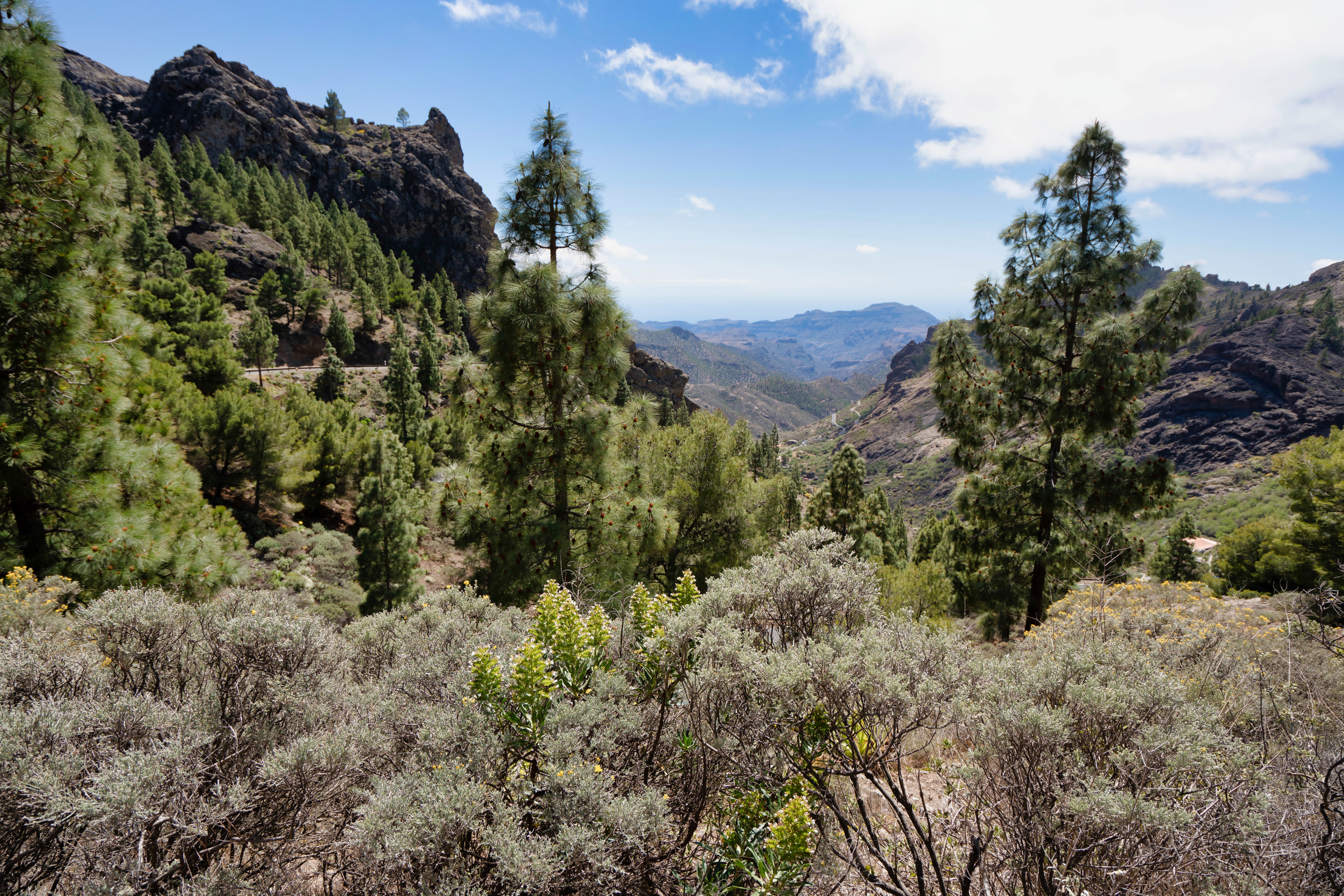 Portugal Coastal Way to Santiago