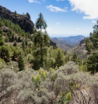 Portugal Coastal Way to Santiago