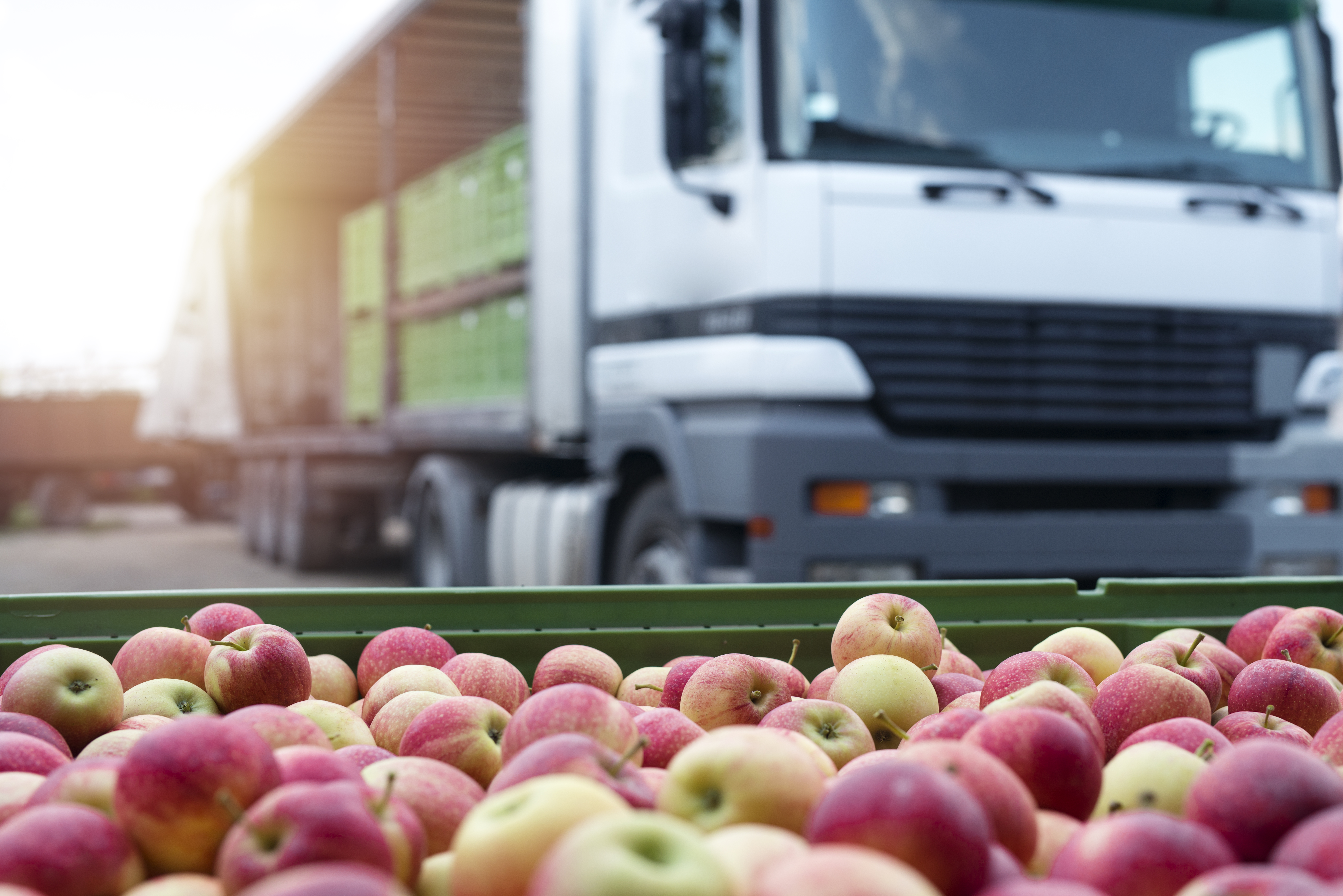 5 Benefits of Lot Tracking for Your Produce Business