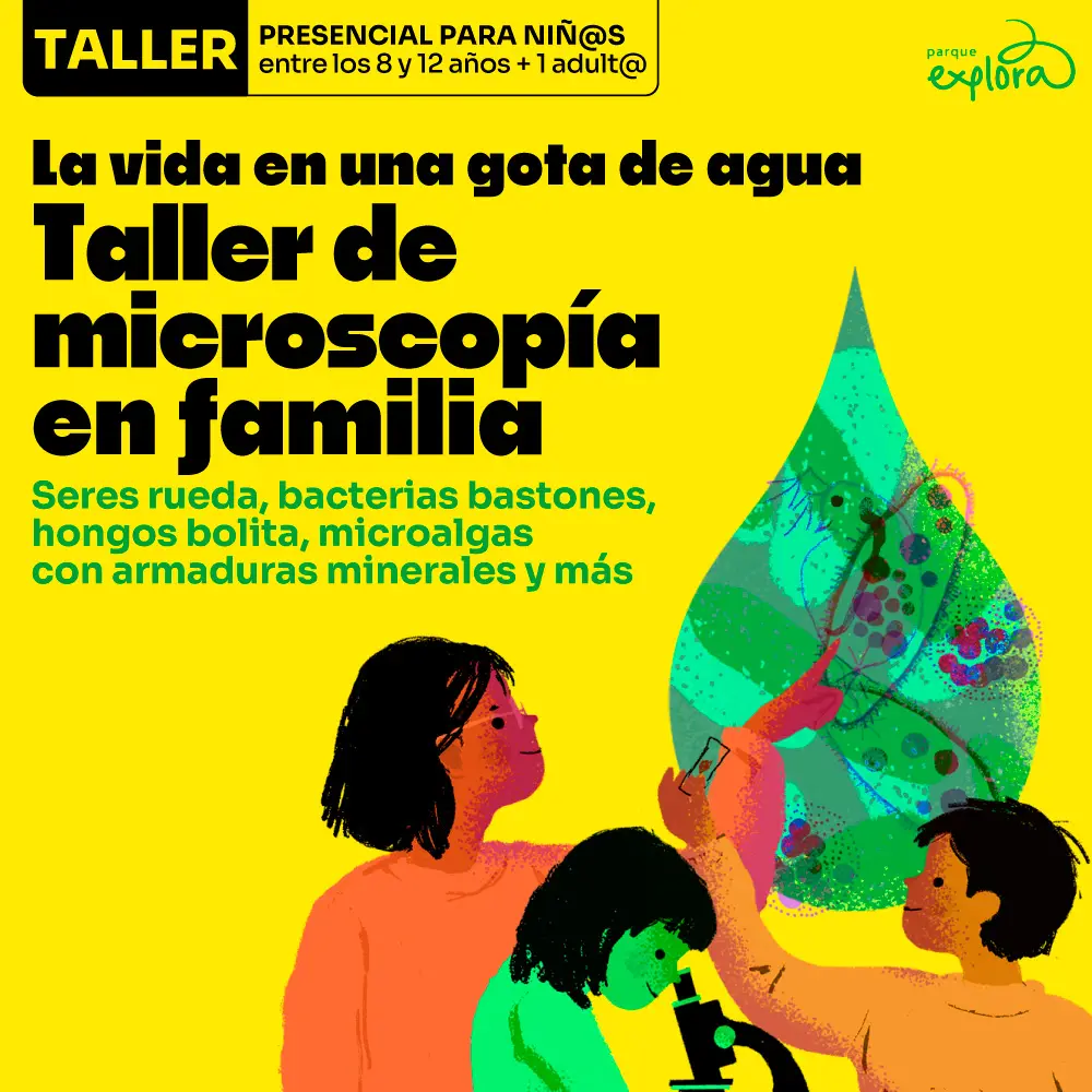 Ilustración. Sobre un fondo amarillo, en la parte superior izquierda aparece un recuadro con el texto: «Taller. Presencial para niñas y niños entre los 8 y 12 años + 1 acompañante mayor de edad». Debajo, hacia la izquierda, dice: «La vida en una gota de agua. Taller de microscopía en familia». Más abajo dice: «Seres rueda, bacterias bastones, hongos bolita, microalgas con armaduras minerales y más». En la mitad inferior hay tres personas alrededor de un microscopio; una persona adulta señala una gran gota de agua en cuyo interior se ven formas y organismos microscópicos.