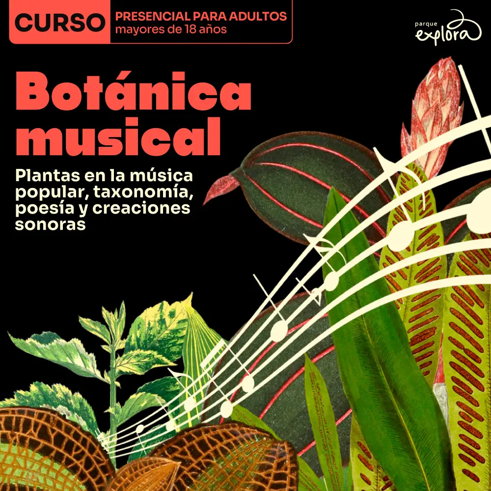 Ilustración. Sobre un fondo oscuro, en la parte superior izquierda aparece un recuadro con el texto: «Curso. Presencial para adultas y adultos mayores de 18 años». Debajo, a la izquierda, dice: «Botánica musical». Más abajo dice: «Plantas en la música popular, taxonomía, poesía y creaciones sonoras». En la mitad derecha y la parte inferior aparecen hojas y plantas superpuestas con un pentagrama y notas musicales que atraviesan la composición.