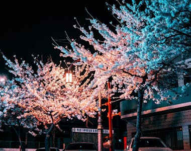 Image 7 of 7