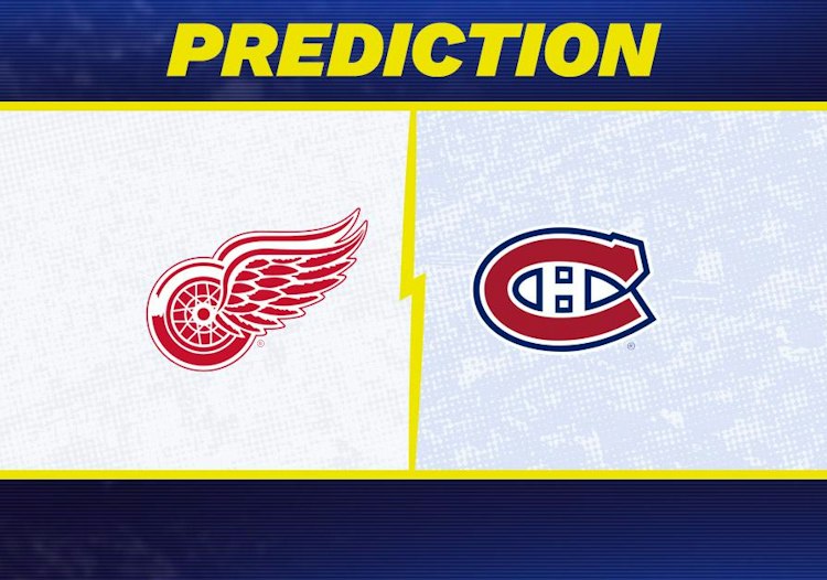 The Detroit Red Wings take on the Montreal Canadiens in NHL action.