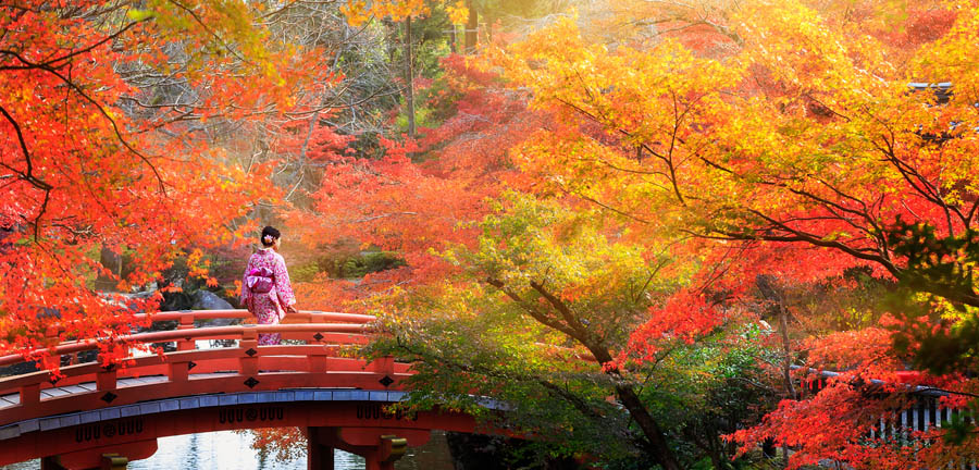 Japan On A Shoestring - 13 Days