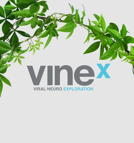 Navigation Item - VINEX