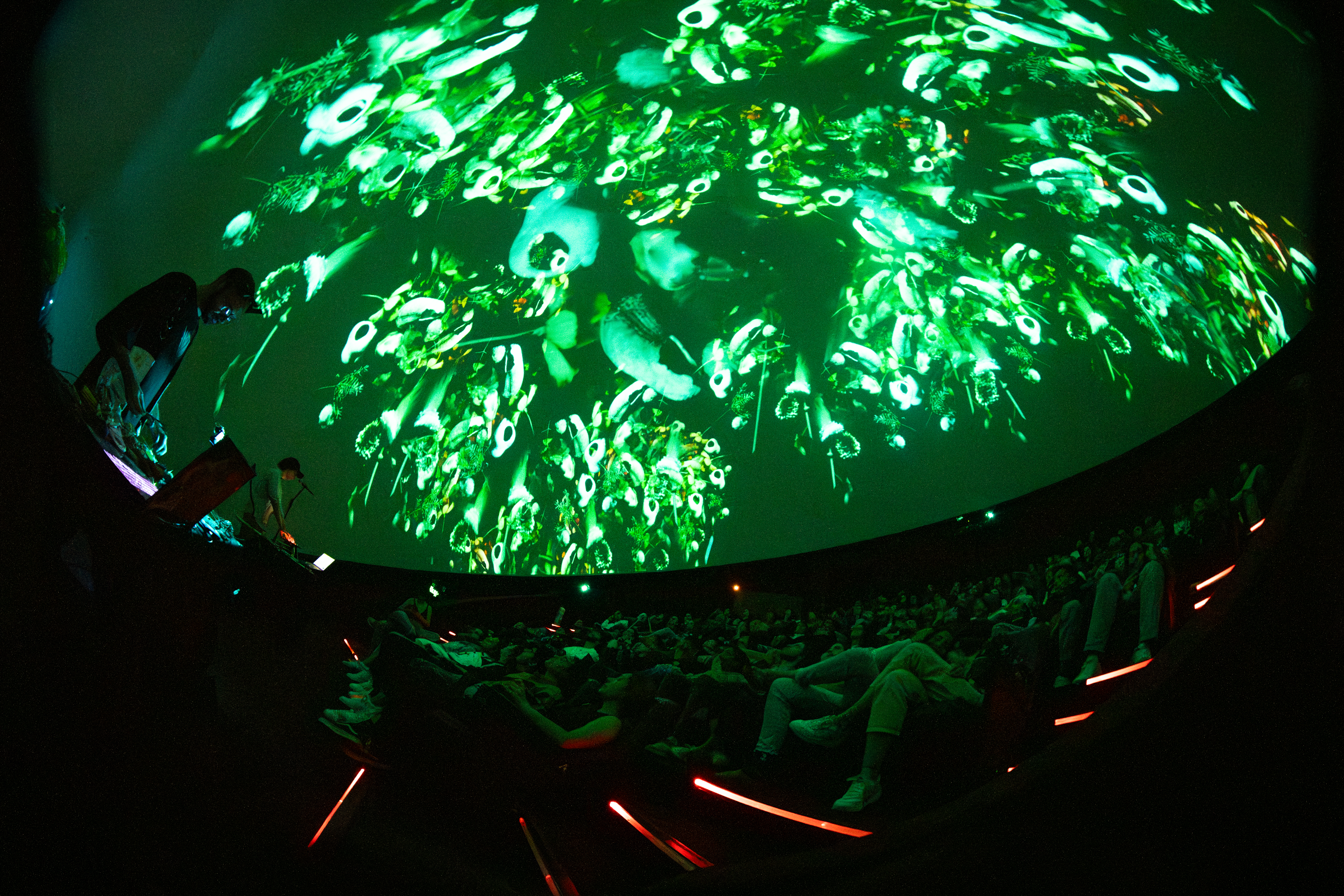 BioMigrant_OrbitasSonoras-09.jpg