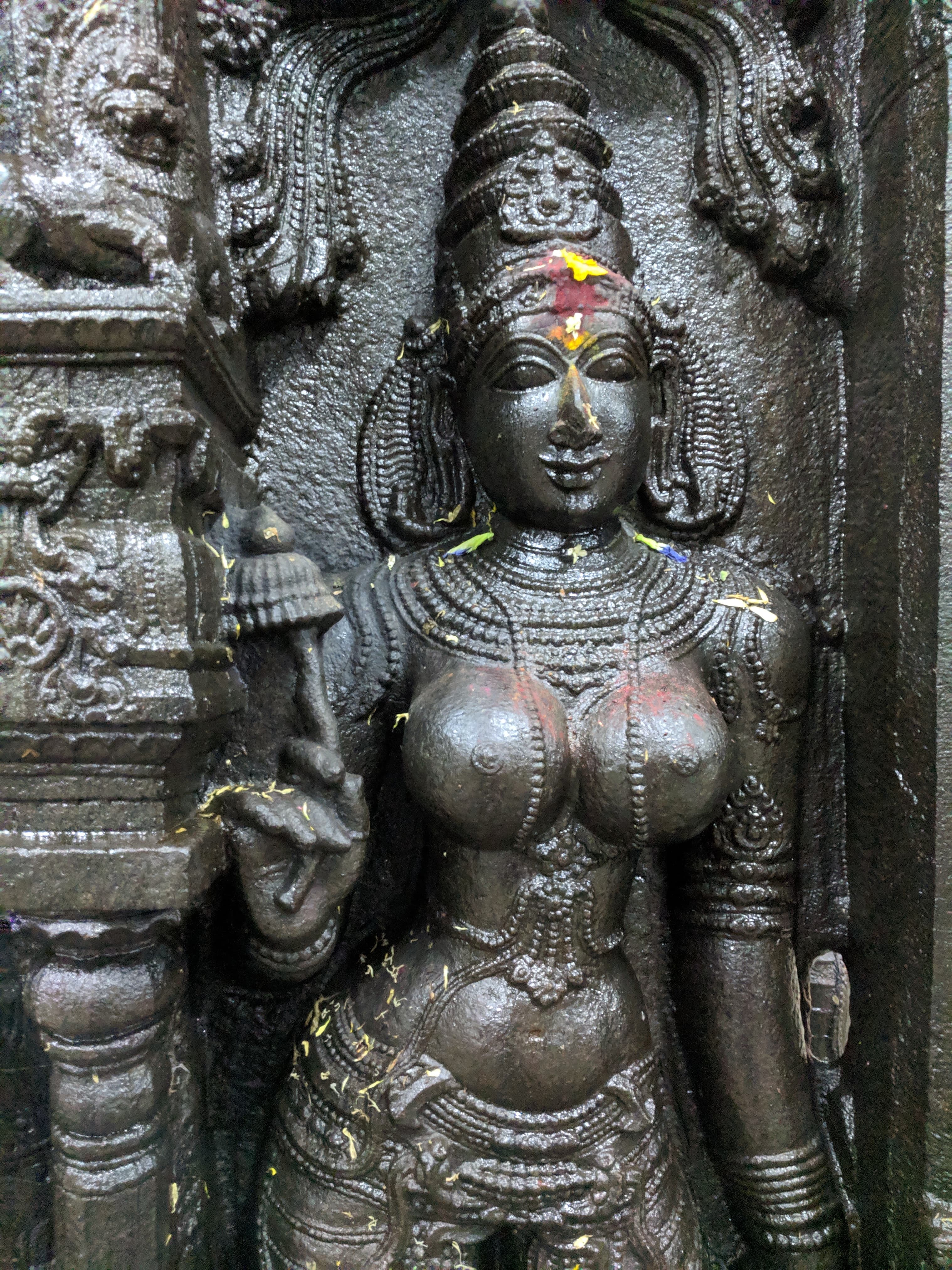 Supriya Nagarajan Presents