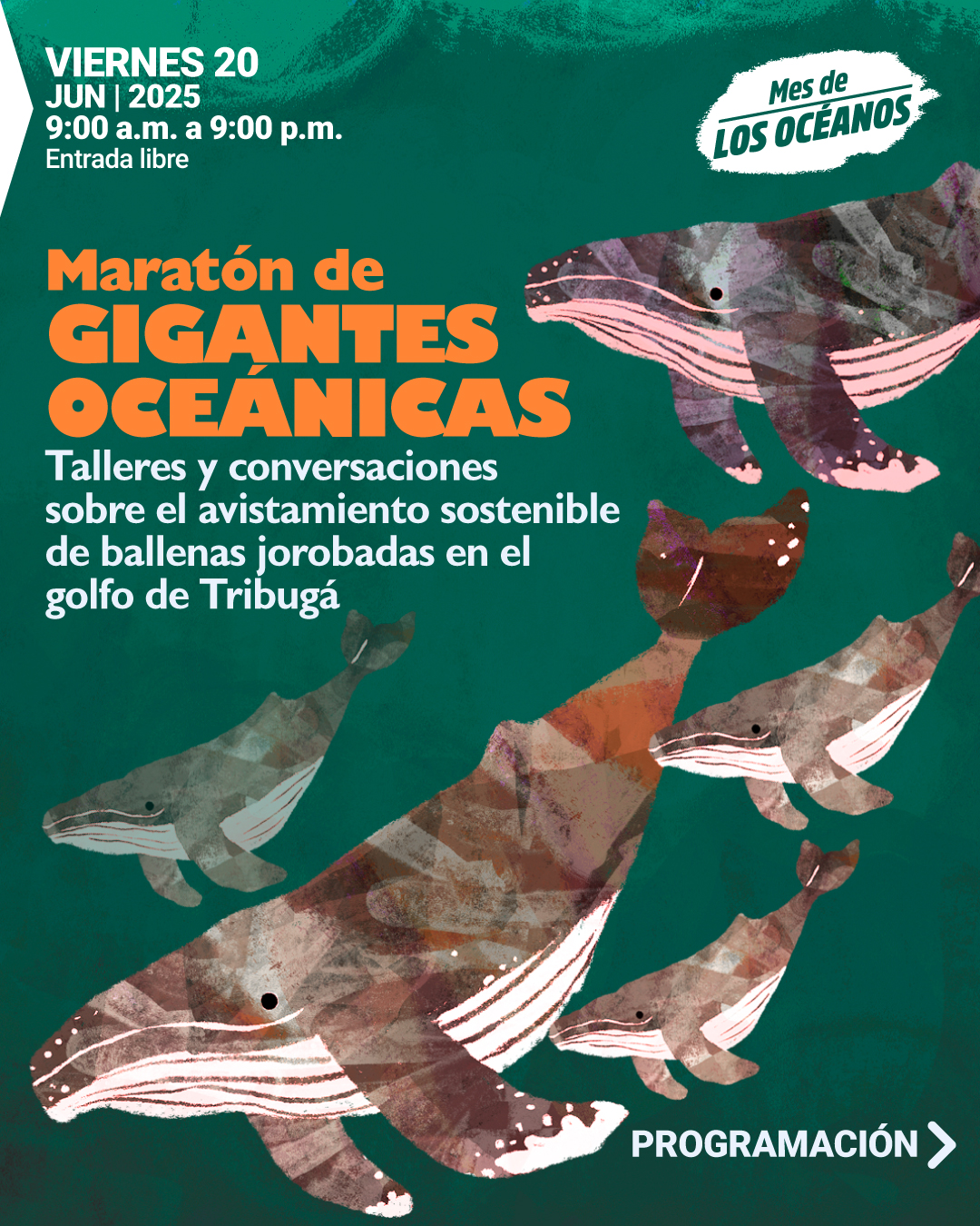 MaratonBallenas-InstaFace1.jpg