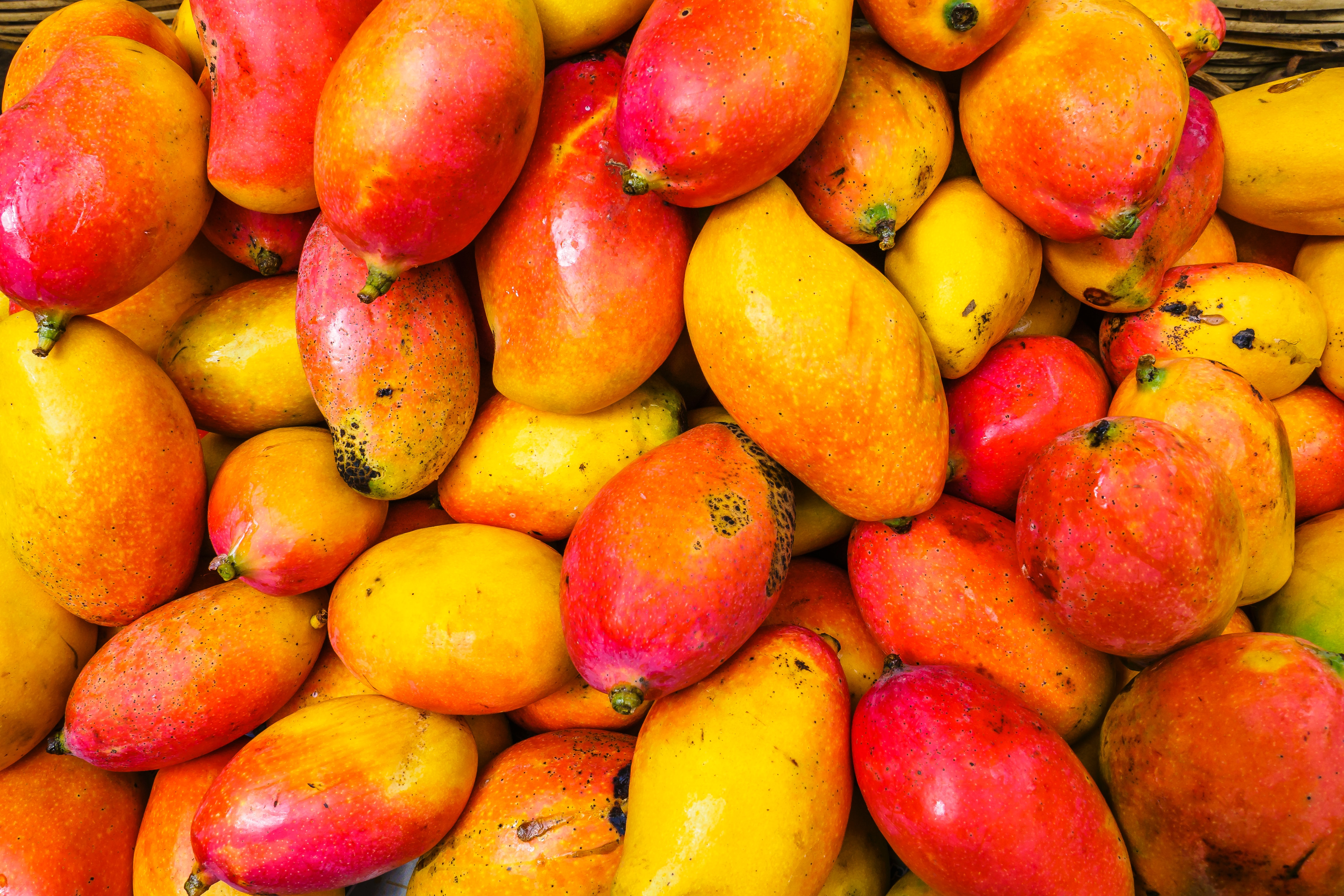 Understanding How Growers Impact The Increasingly Popular Mango Season