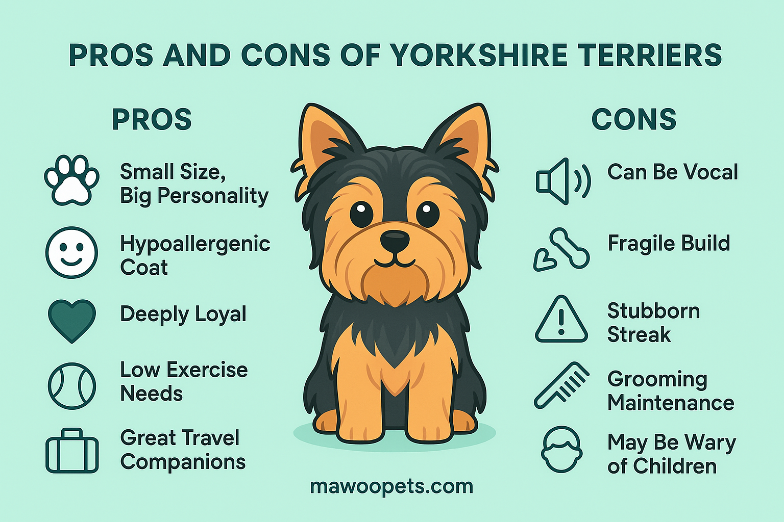 yorkie pro and con infographic
