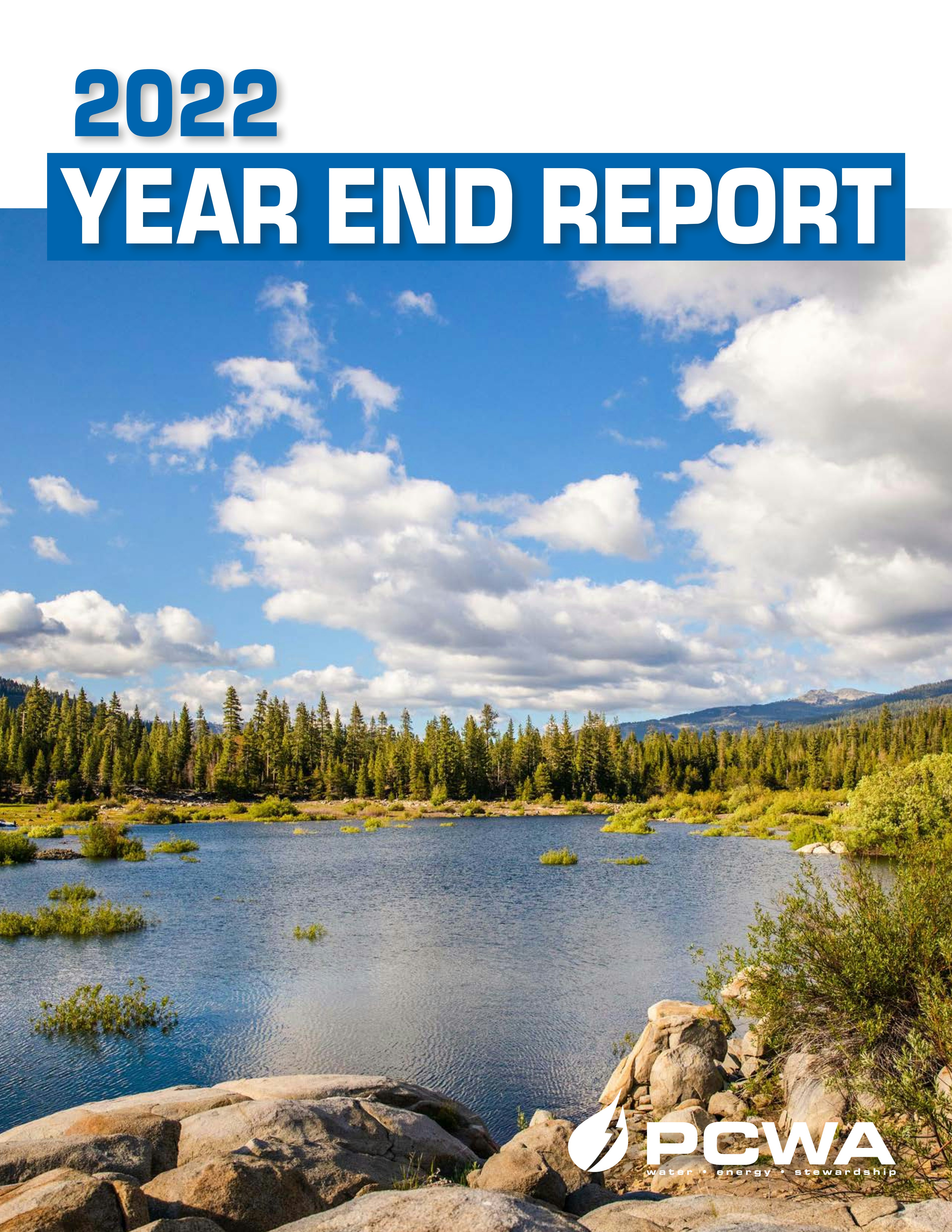 Thumbnail image and link for 2022 Year End Report publication
