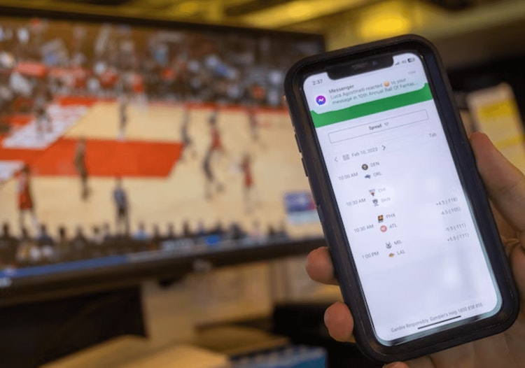 Online sports betting, USA, Texas, Hawaii, Georgia, Missouri