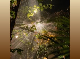 Goram @ Gitano Jungle Tulum