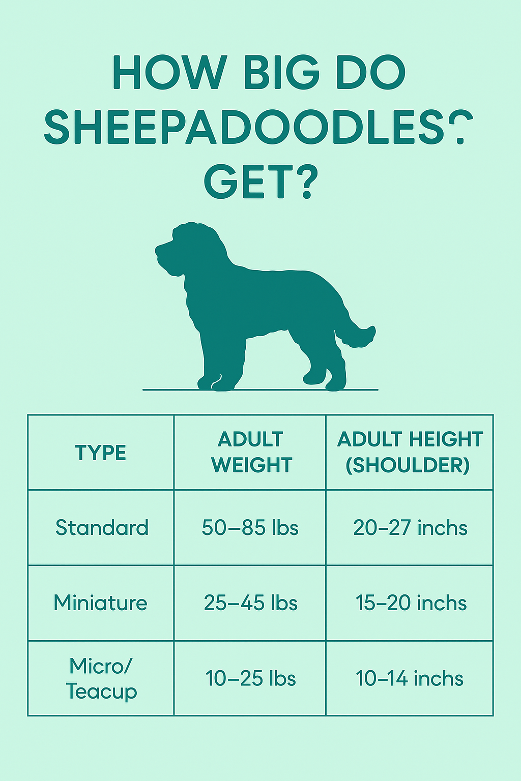 sheepadoodle-size-infographic.png
