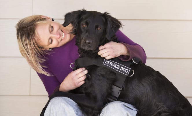Mixed breed dog with a service dog vest hugging a woman. 