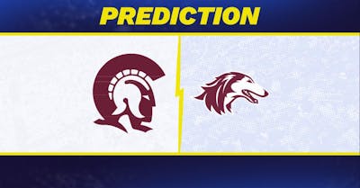 Arkansas-Little Rock vs. Southern Illinois prediction: Southern Illinois favored to win men's college basketball matchup [11/29/2025]