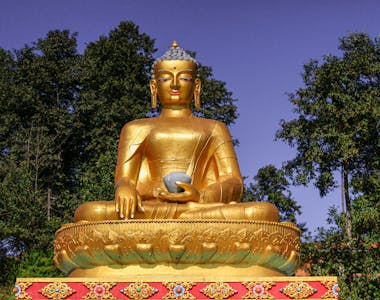 Image 4 of 6