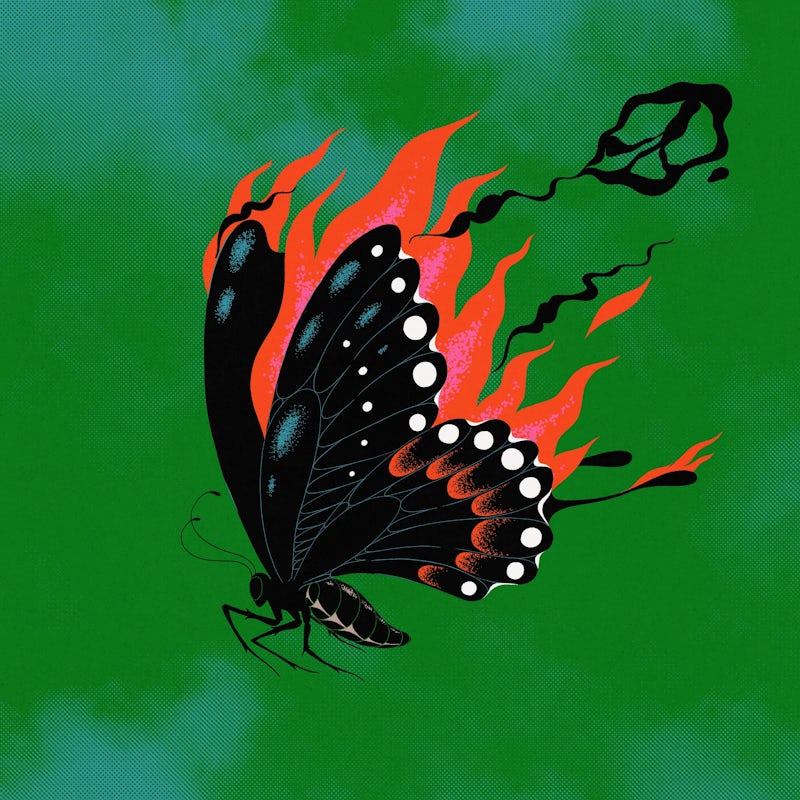 Neighbourhood Watch: Notes from Belfast