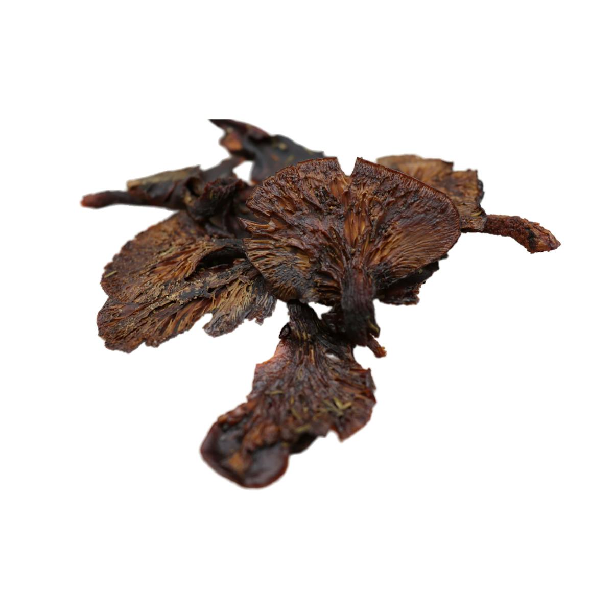 Mushroom Jerky