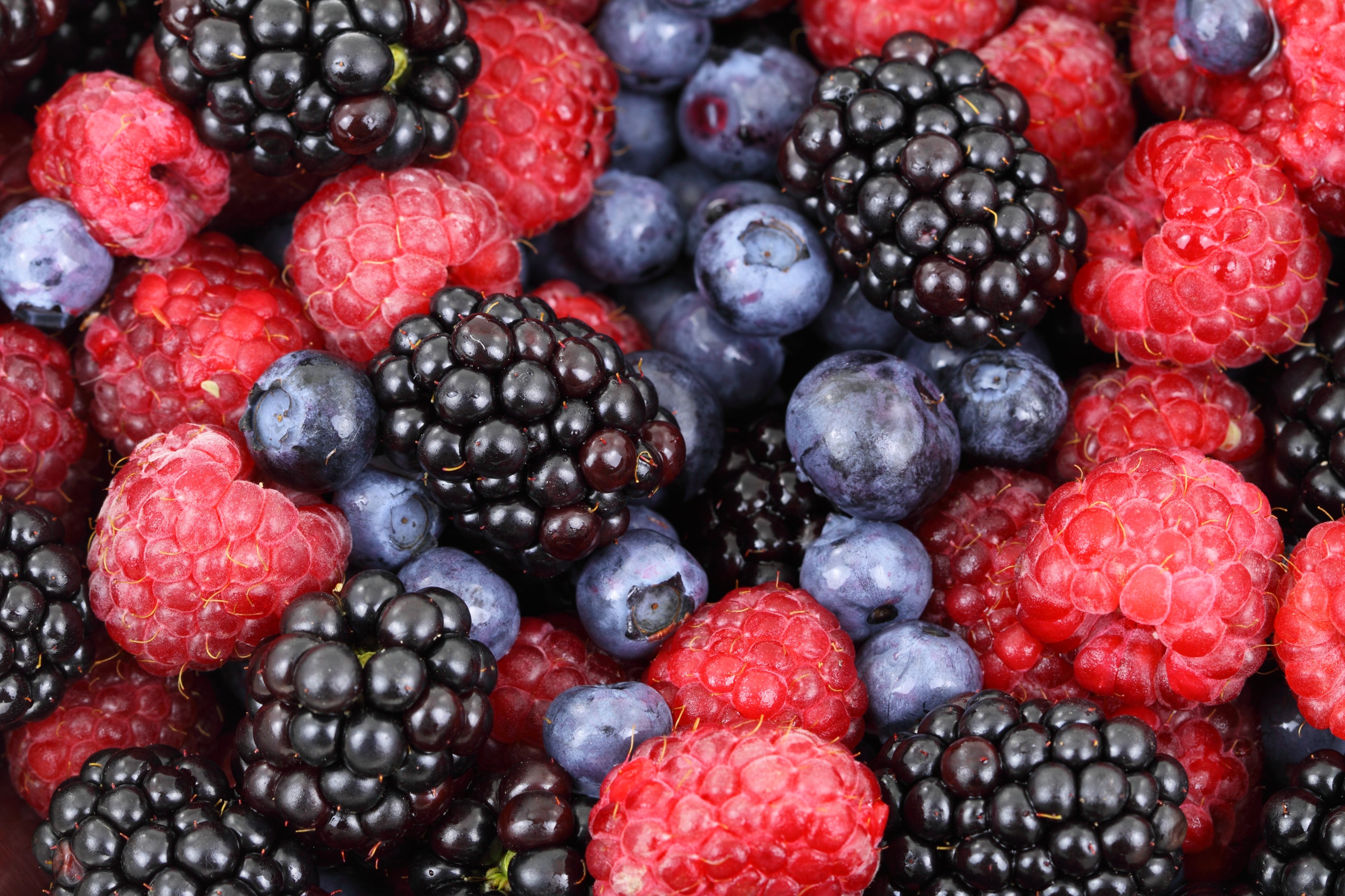 What to Know About the Latest Trends in Berry Prices
