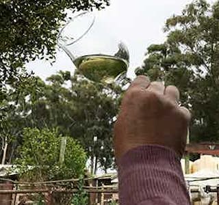 Wine Tasting for Dummies's gallery image