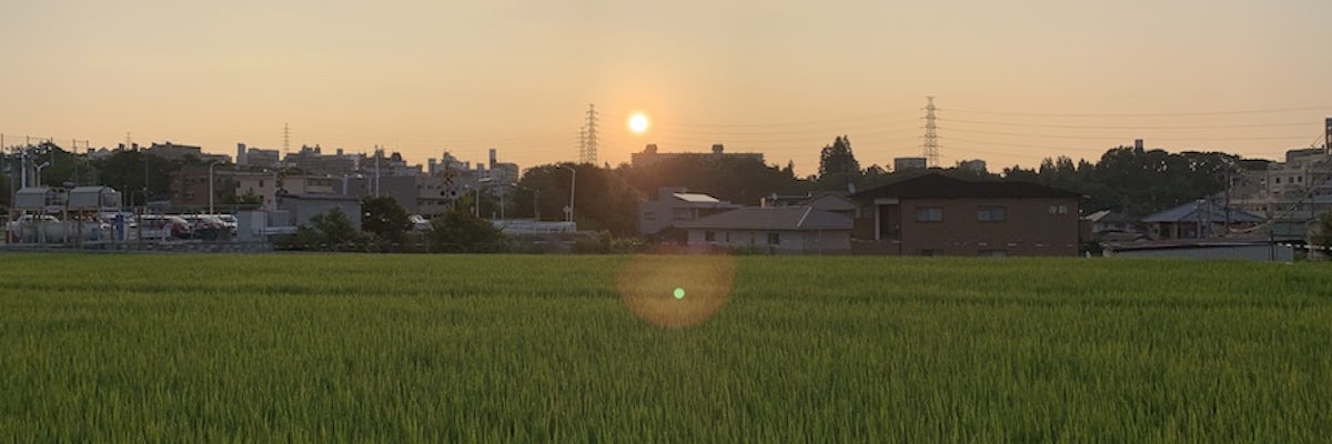 undefined's banner image