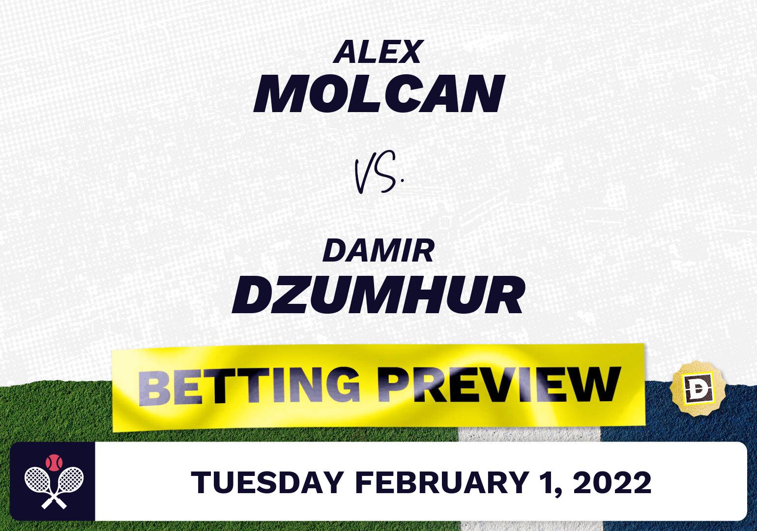Alex Molcan vs. Damir Dzumhur Predictions - Feb 1, 2022
