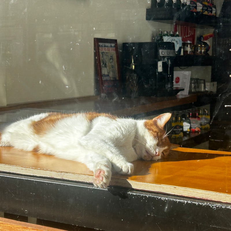 Breakfast Club Coco: Coco Maria